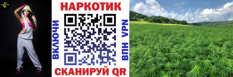 Сколько стоит Ярославль APVP Лсд 25 Каннабис МЕФ Галлюциногенные грибы