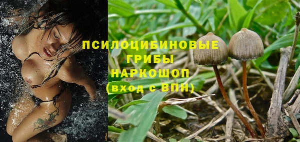 кристаллы Абаза