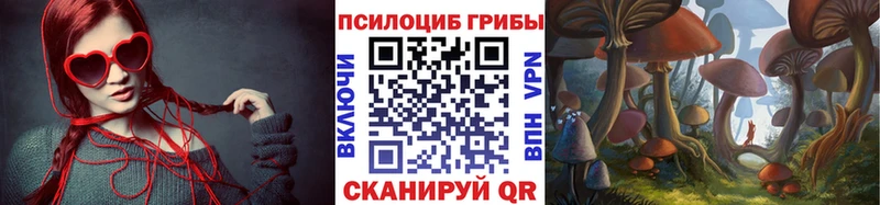 Псилоцибиновые грибы Cubensis  Ярославль 
